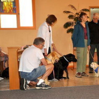 Third Annual Blessing of Dogs - Saturday, August 15, 2015