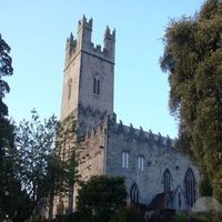 Limerick Cathedral (Limerick St Mary)