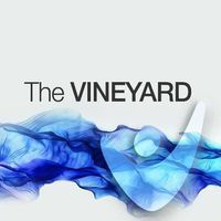 Vineyard Christian Fellowship