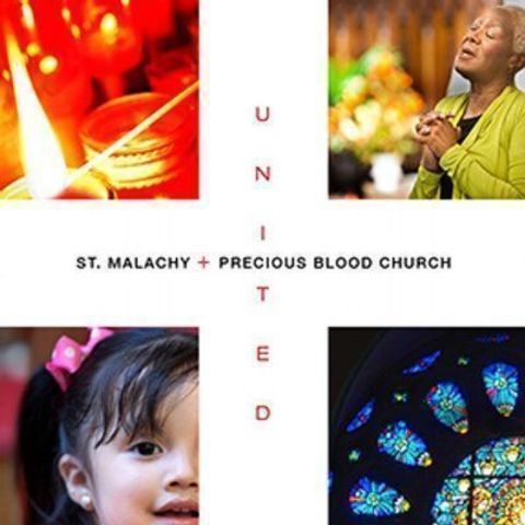 St. Malachy + Precious Blood - Chicago, Illinois