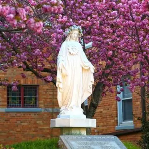 Immaculate Heart of Mary Parish - Brooklyn, New York