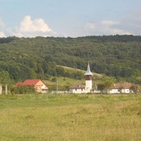 Abucea Orthodox Church - Abucea, Hunedoara