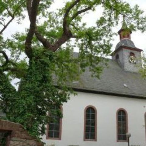 Holy Cross Orthodox Church - Russelsheim, Hessen