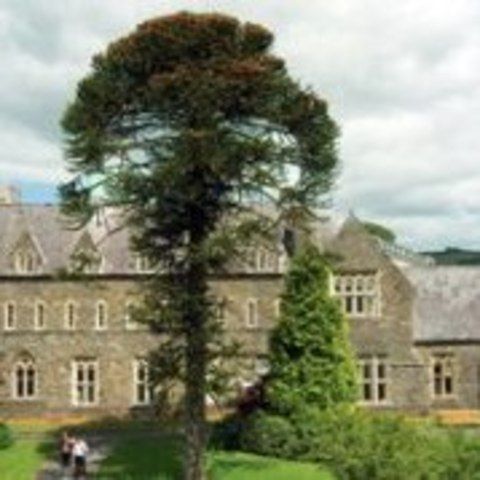 University of Wales Trinity Saint David - Carmarthenshire, Wales