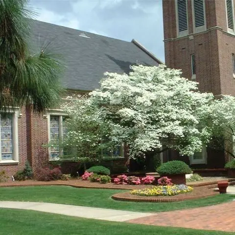 Trinity on the Hill United Methodist Church - Augusta, Georgia