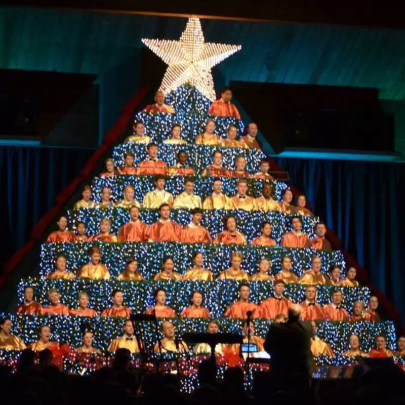 Singing Christmas Tree 2013
