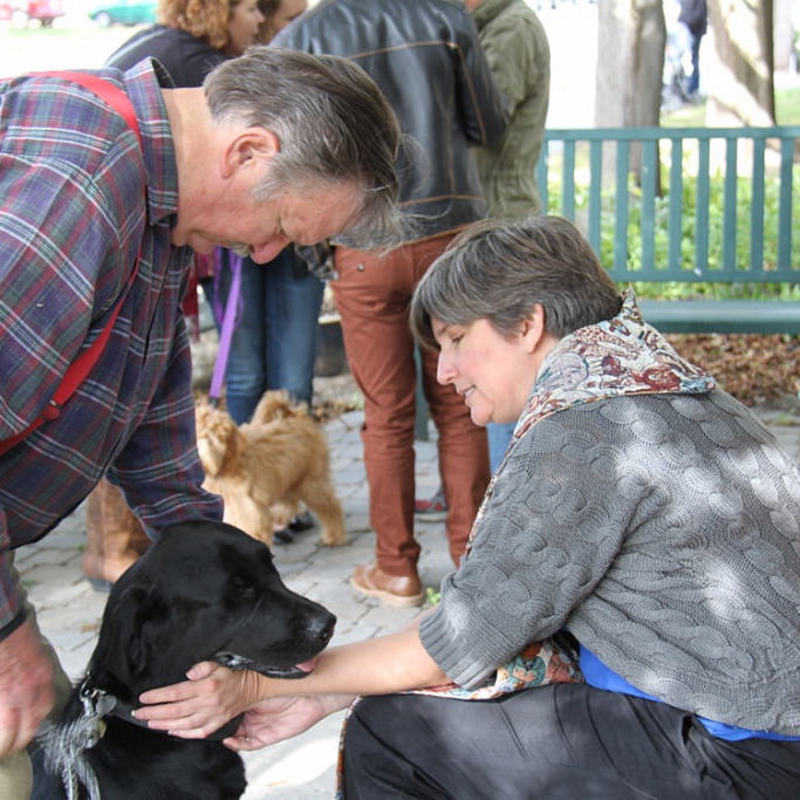 Pets Blessing 2015