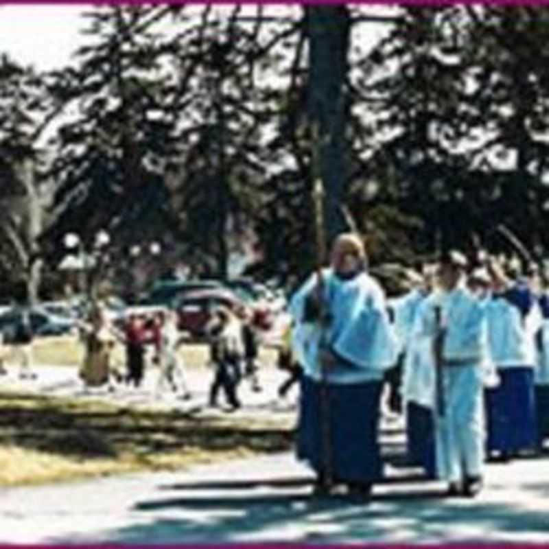 Outdoors procession - Palm Sunday