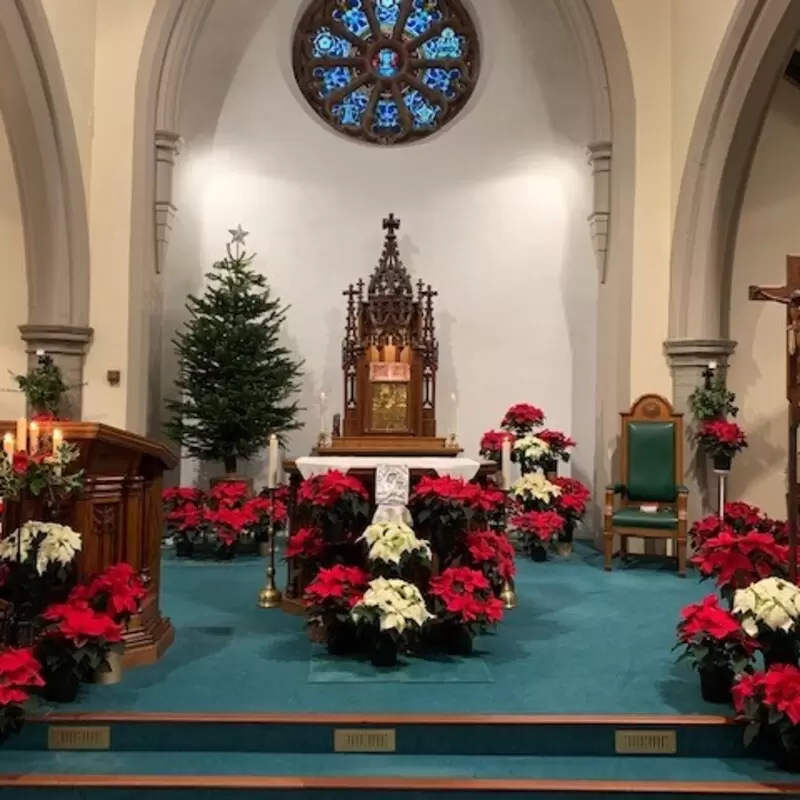 Our Lady's Church all prepared for Christmas