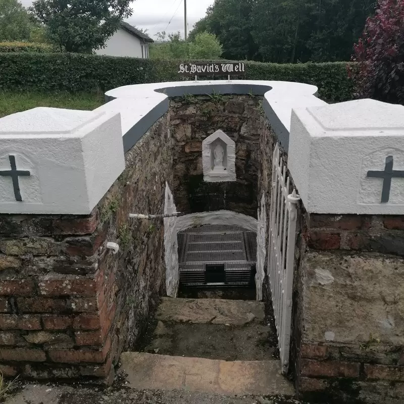 St. David’s Well at Oylegate, County Wexford - photo courtesy of Samantha Morris