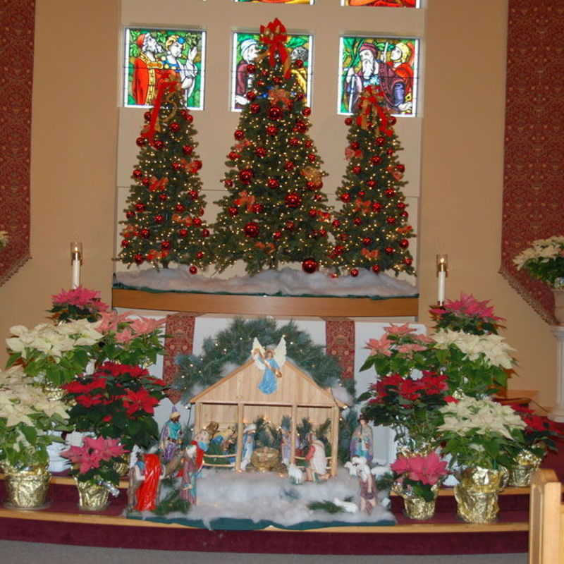 St. Francis Christmas 2012