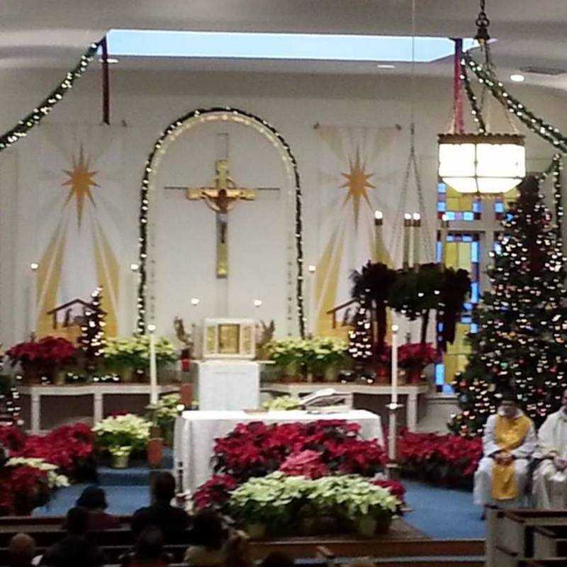 St Bernard's at Christmas 2013