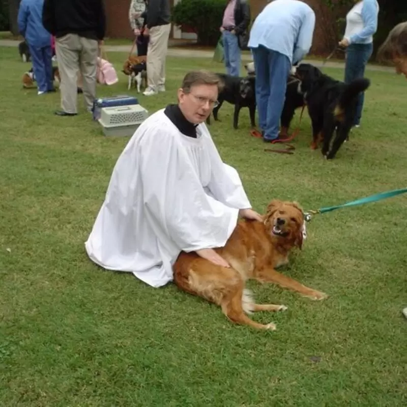 Pet Blessings - St. Francis Day