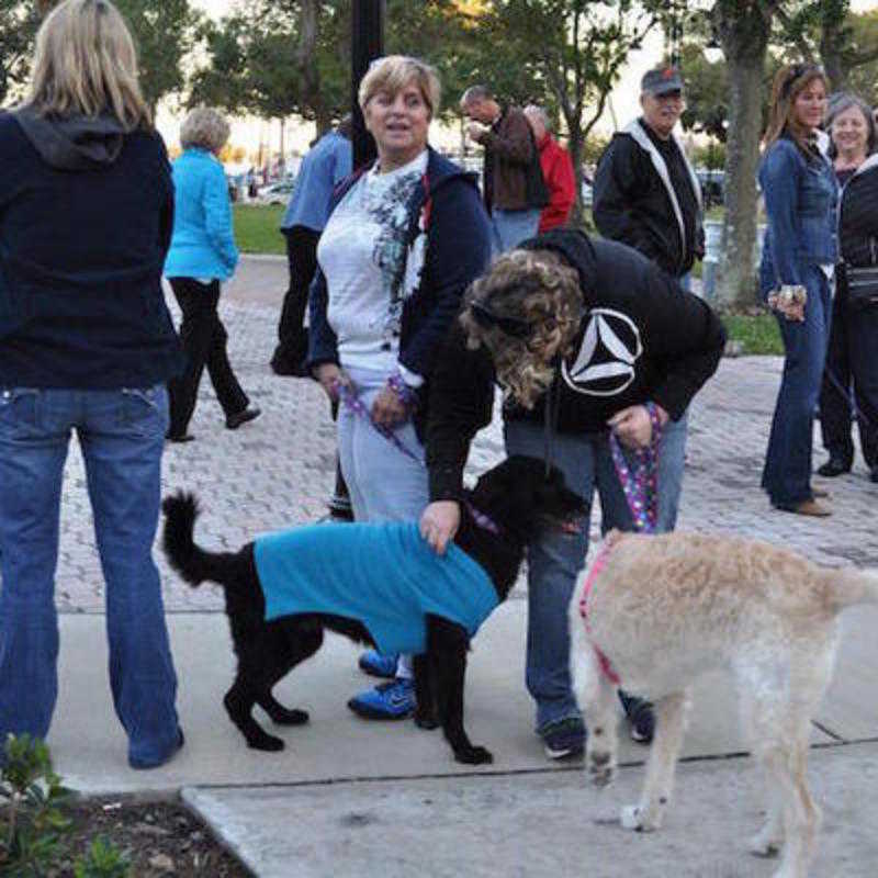 Blessing of the Animals February 11, 2016 Straub Park
