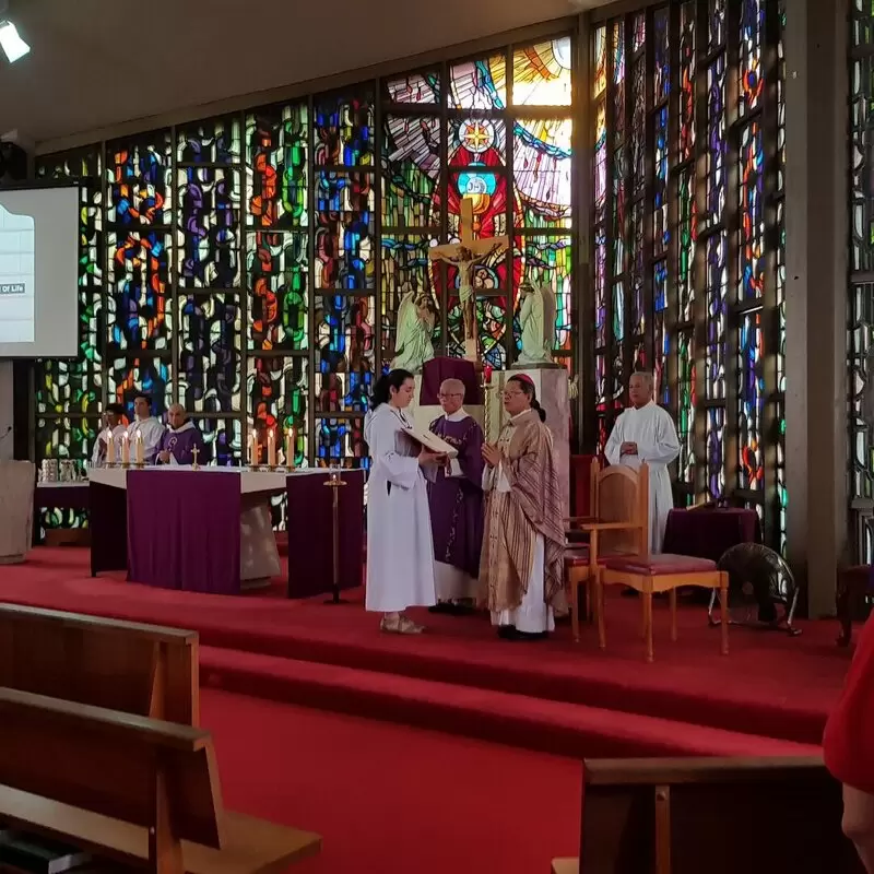 50th Anniversary Mass with Bishop Vincent Long, OFM Conv. on March 8 2020