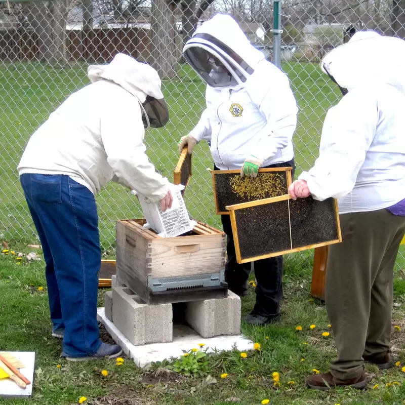 Edible Forest Bee Hives