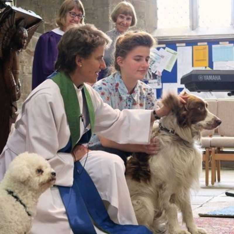 Service for pets with Revd Jean Lamb