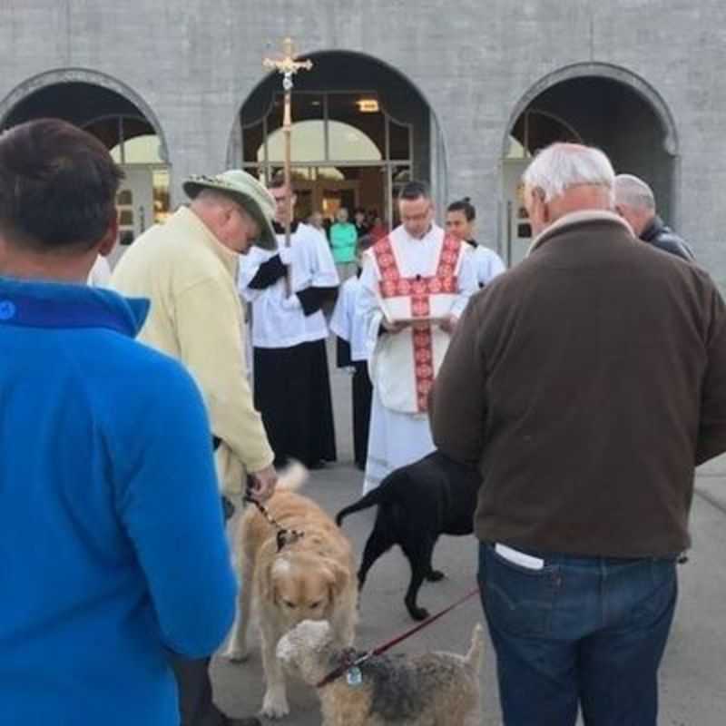 Blessing of the Animals October 4, 2017