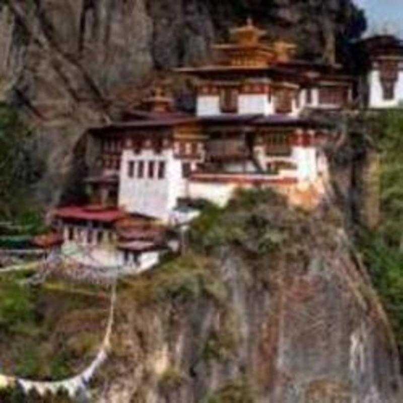 The Beautiful Gate Foundation - Thimphu, Thimphu