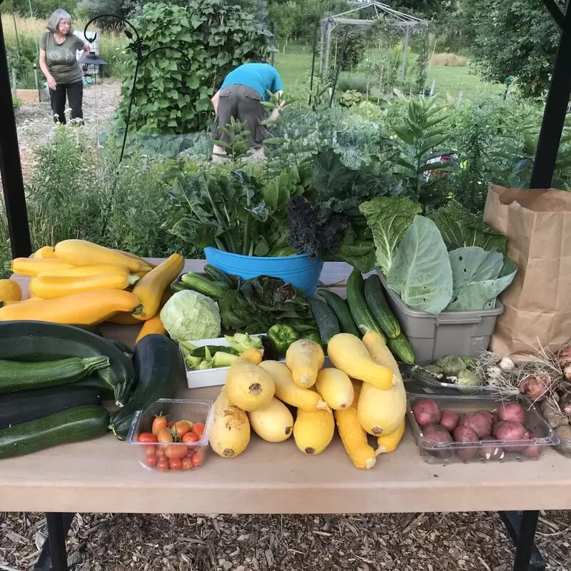 Our Community Garden - a growing and sharing place