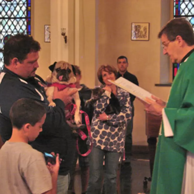Messiah Celebrates St. Francis of Assisi and Blessing of the Animals