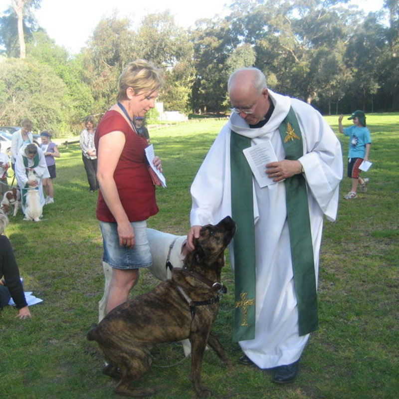 Pets Blessing 2010