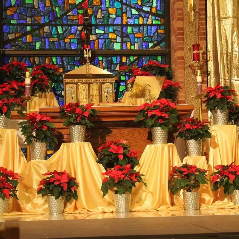 The altar at Christmas