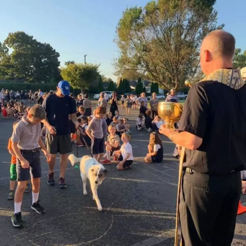Blessing of the animals 2019