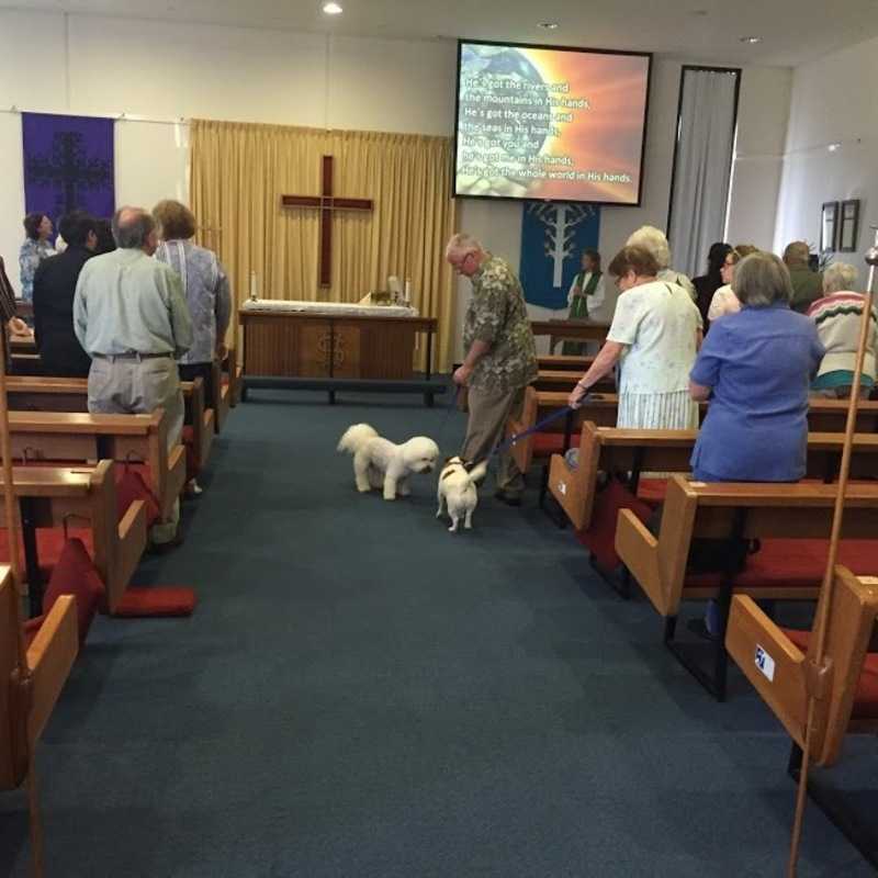Blessing of the pets