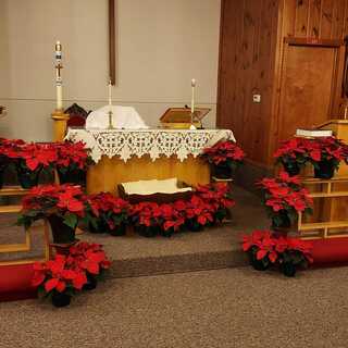 The altar at Christmas (2023)