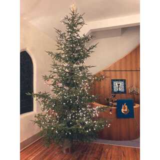 2021 Christmas tree