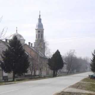 Gardinovci Orthodox Church - Titel, South Backa