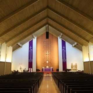 Holy Family Cathedral - Orange, California