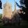 St. John Baptist - Wappenbury, Warwickshire