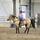 September 8, 2019 Ugly Ranch Horse Competition