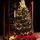 Christmas Tree at Holy Cross