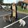 Pet Blessing at Holy Cross