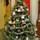 The McKnight Tree - Christmas 2014
