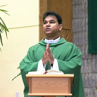 Fr. Gijo Muthanattu O. Carm
